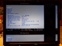 X61 SXGA - Displayfehler - 008.JPG