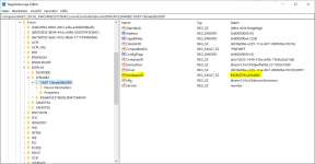 02 Display in der Registry mit Hardware-ID.PNG
