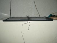 P1110549.JPG