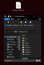 entpackte WIN 10 20H2_1.PNG