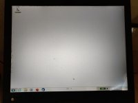 X61_T Blasen I.jpg