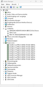 WDC PC SN520 +i5-8250U Armut.jpg