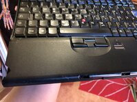 IMG_8650.jpeg