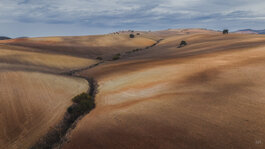 231031_Scorched Hill I_Matt Rimkus_006.jpg