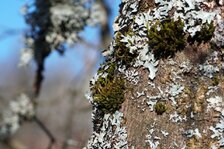 DSC00971#.jpg DSC00971#.jpg