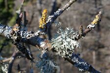 DSC00983#.jpg DSC00983#.jpg