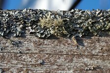 DSC01014#.jpg DSC01014#.jpg