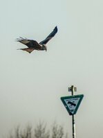 DSC00479_CSAjpg_kse.jpg DSC00479_CSAjpg_kse.jpg