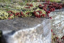 DSC01045#.jpg DSC01045#.jpg