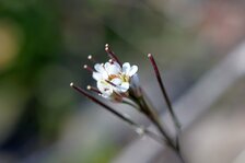 DSC01058#.jpg DSC01058#.jpg