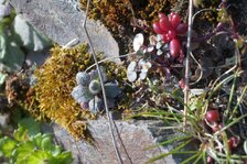 DSC01081#.jpg DSC01081#.jpg