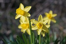 DSC01096.JPG DSC01096.JPG