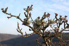 DSC01113#.jpg DSC01113#.jpg