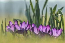 20250309_3169.jpg 20250309_3169.jpg