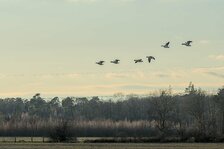 20250316_3412.jpg 20250316_3412.jpg