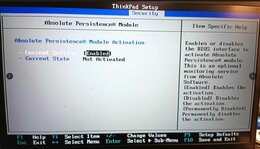 2025-03-23  Thinkpad E15  Absolute Persitance Was ist das.jpg