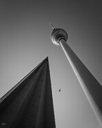 250321_The Pidgeon_003_Matt Rimkus.jpg