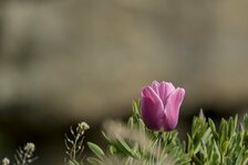 20250411_3898.jpg 20250411_3898.jpg