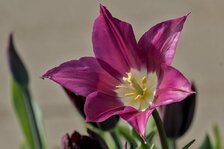 20250411_3899.jpg 20250411_3899.jpg