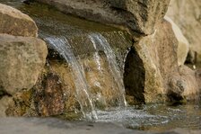 20250411_3932.jpg 20250411_3932.jpg