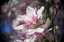 DSC03400_CS_b_jpg_kse.jpg DSC03400_CS_b_jpg_kse.jpg