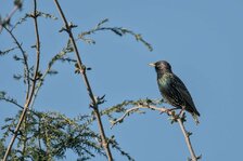 20250404_3737.jpg 20250404_3737.jpg