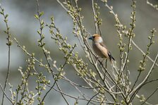 20250405_3781.jpg 20250405_3781.jpg