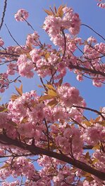 1000036150.jpg 1000036150.jpg