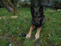 div20250415_1211.jpg div20250415_1211.jpg