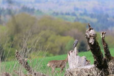 6V1A8912.JPG 6V1A8912.JPG