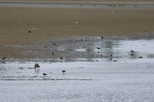 6V1A9001.JPG 6V1A9001.JPG