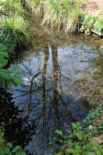 IMG_2889.JPG IMG_2889.JPG