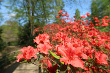 IMG_2888.JPG IMG_2888.JPG