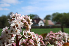 IMG_2891.JPG IMG_2891.JPG