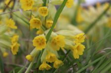 1745252053298.png 1745252053298.png