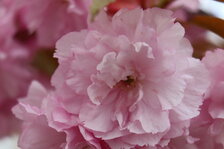 1745252124971.jpeg 1745252124971.jpeg