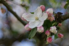 DSC03517_A2kse.jpg DSC03517_A2kse.jpg