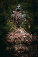 250421_Ethereal Easter_003_Matt Rimkus.jpg 250421_Ethereal Easter_003_Matt Rimkus.jpg