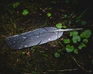 250421_Ethereal Easter_005_Matt Rimkus.jpg 250421_Ethereal Easter_005_Matt Rimkus.jpg