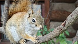 IMG20250423161409.jpg IMG20250423161409.jpg