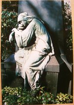 DSCF7072_crop.JPG DSCF7072_crop.JPG