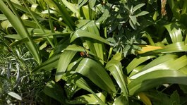 IMG_20250509_141705_773.jpg IMG_20250509_141705_773.jpg