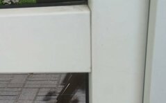 Stegbiene_03.jpg Stegbiene_03.jpg