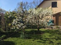 PXL_20250416_074251607.jpg PXL_20250416_074251607.jpg