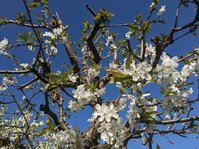 PXL_20250416_074410803.jpg PXL_20250416_074410803.jpg