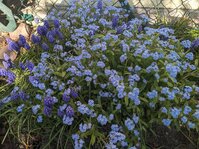 PXL_20250416_074603080.jpg PXL_20250416_074603080.jpg