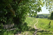 D81_2320.JPG D81_2320.JPG