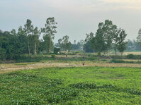 IMG_9945.jpeg IMG_9945.jpeg