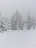 20190112_125905.jpg 20190112_125905.jpg