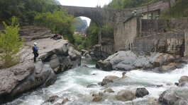 20190502_125006.jpg 20190502_125006.jpg